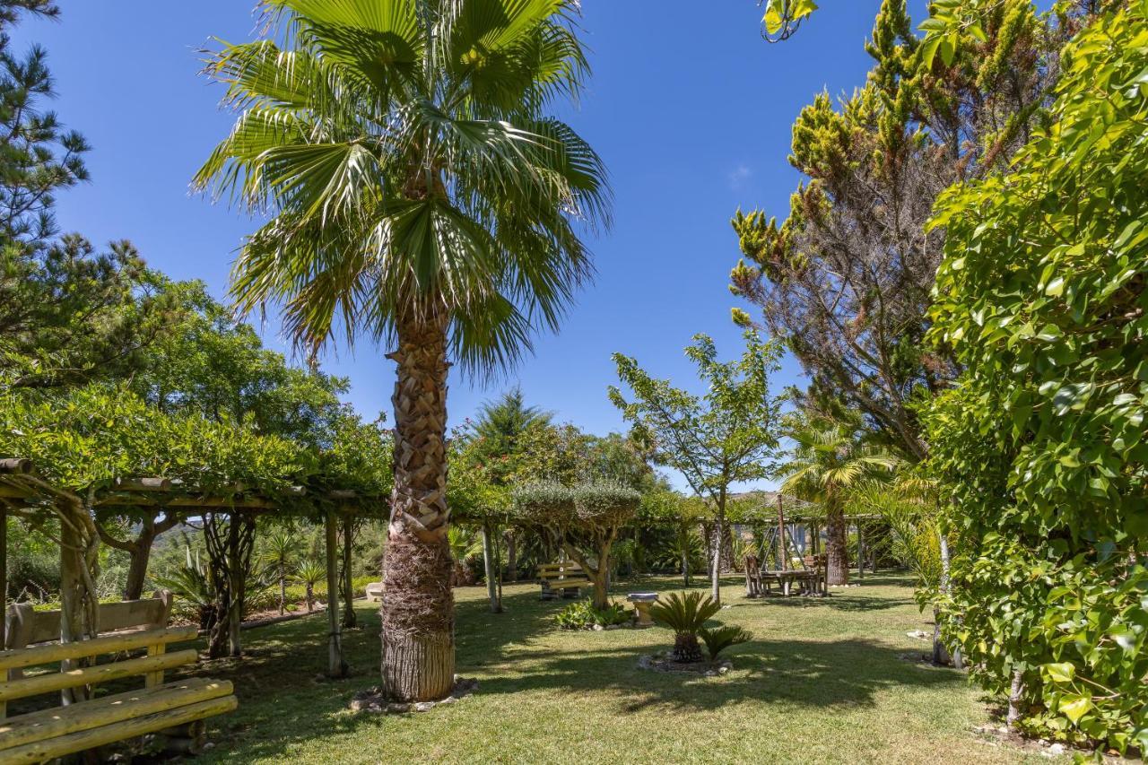 Quinta Do Monte Das Abelhas - La Venus De Lisbonne Calhandriz Екстериор снимка